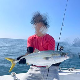ハマチ