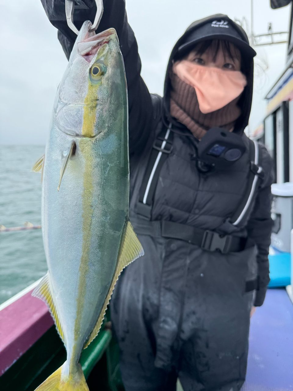 あや🐟さんの釣果 1枚目の画像