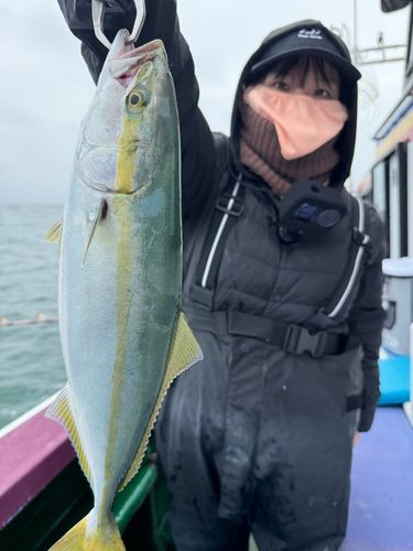 イナダの釣果