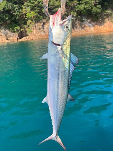 内浦湾