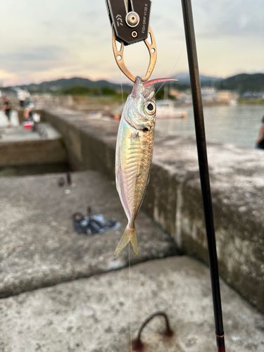 深日港