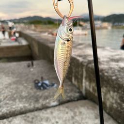 メッキ