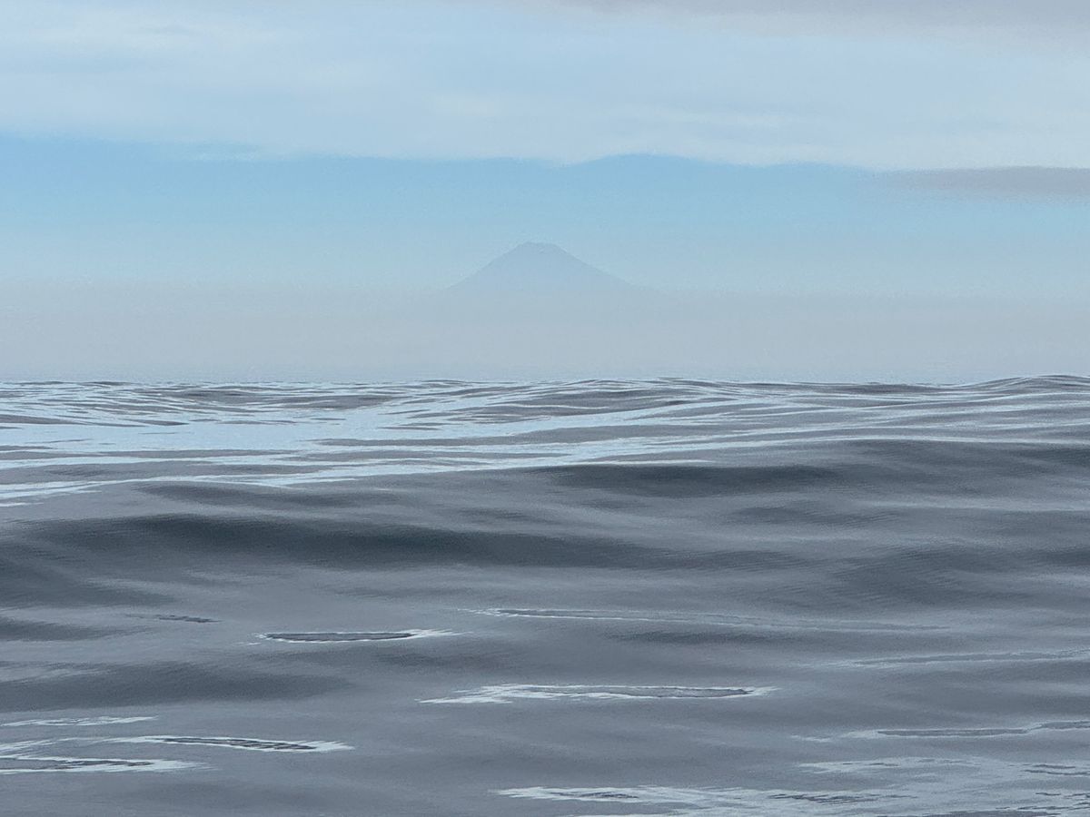 シゲゾーさんの釣果 2枚目の画像