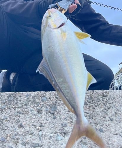 釣果