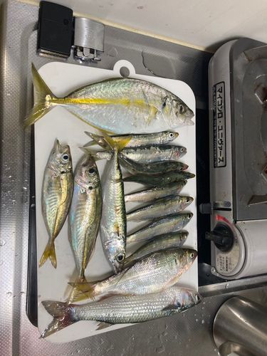 久慈漁港