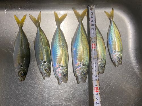 豊浜漁港