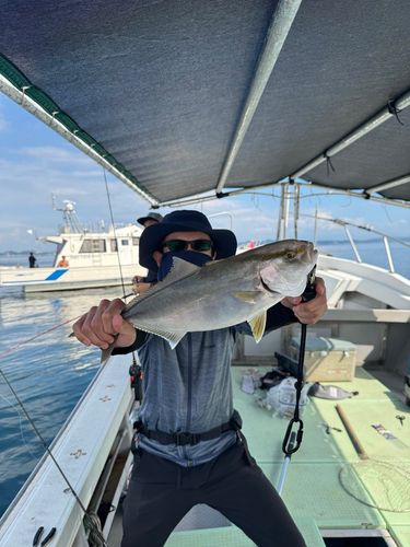 ネリゴの釣果