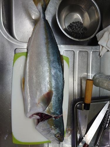 尾鷲湾