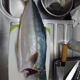 ハマチ