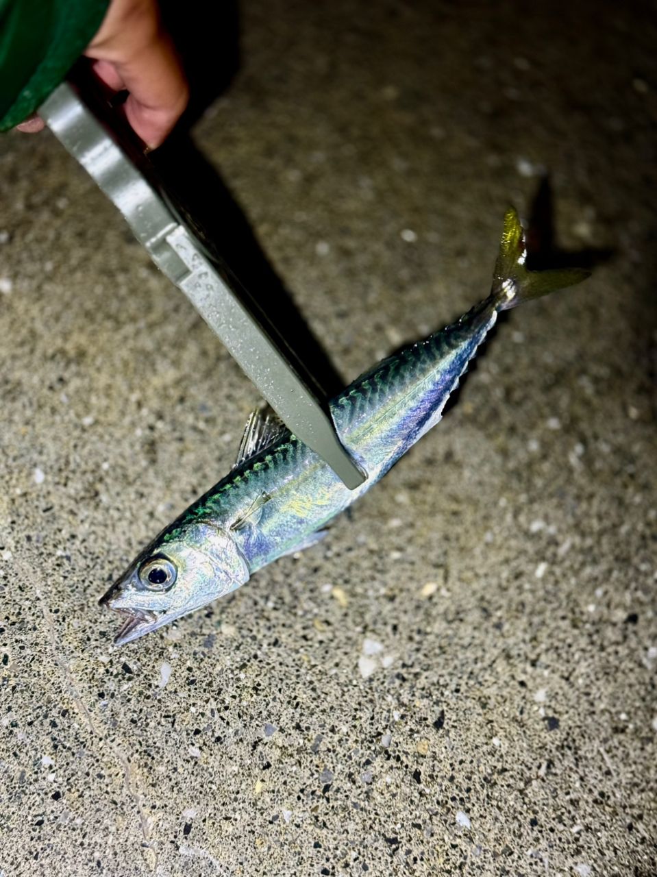 SHIMANO 22コルトスナイパーSS LSJ S96MLの最安値・インプレ