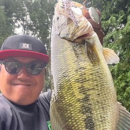 ラージマウスバス