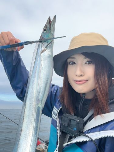 タチウオの釣果