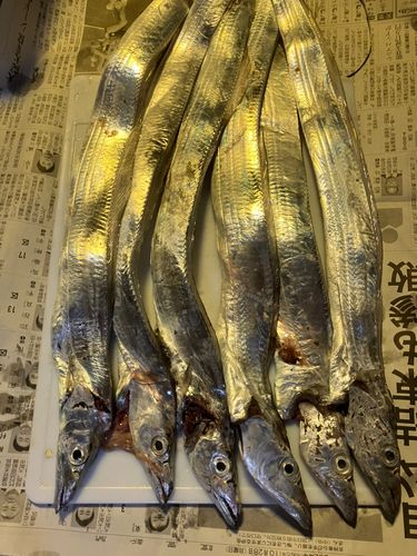 和歌浦湾