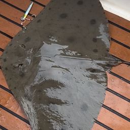 ツバクロエイ