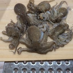 イイダコ