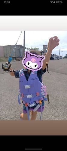 スズキの釣果