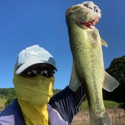 ブラックバス