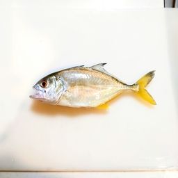 メッキ