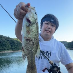 ブラックバス