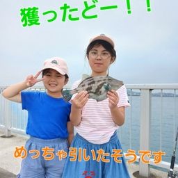 ウマヅラハギ