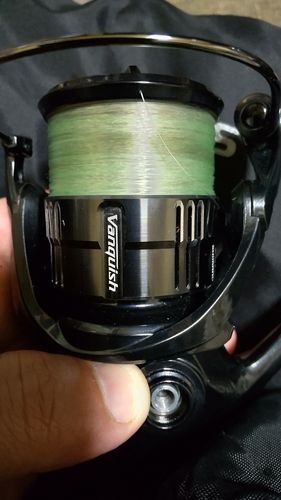 釣果