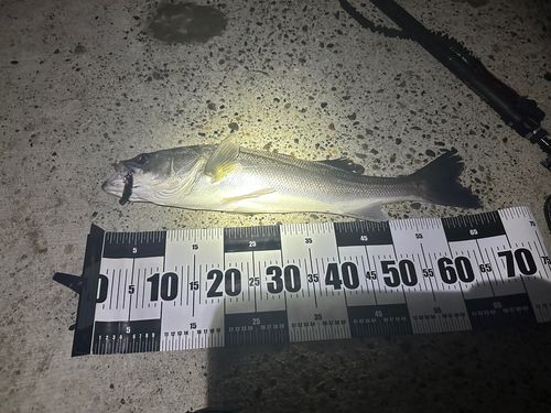 網代浜海水浴場
