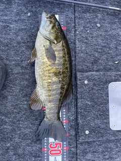 釣果