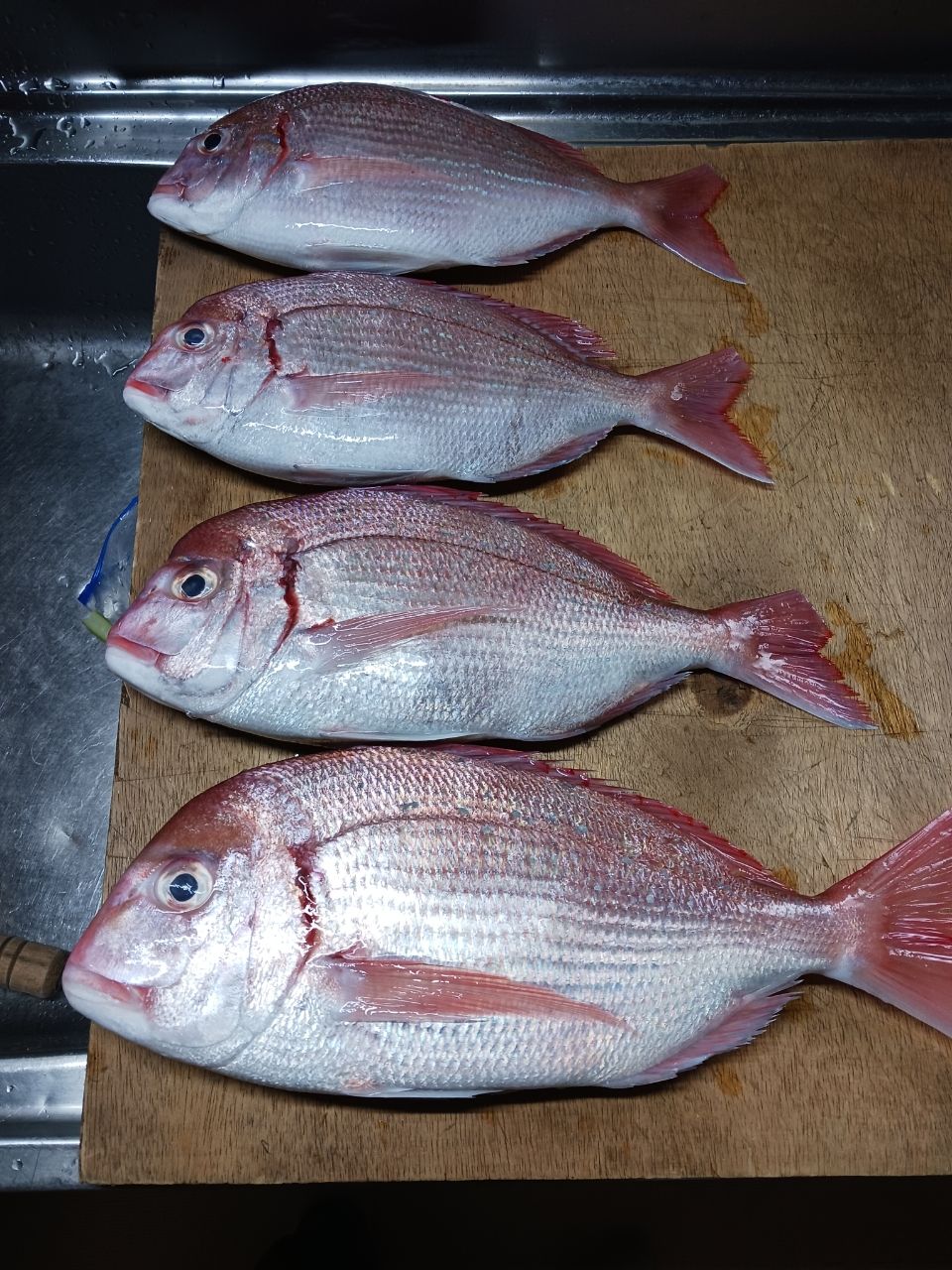 ひろきの父ちゃんの釣に行く。さんの釣果 2枚目の画像