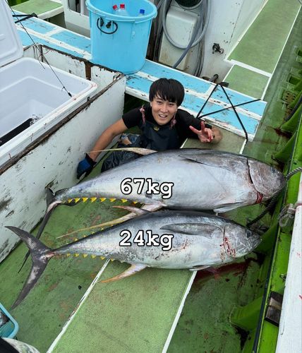 キハダマグロの釣果