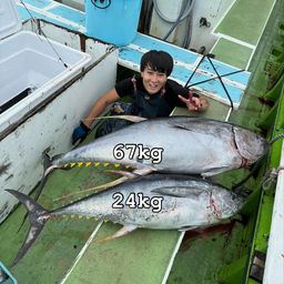 キハダマグロ