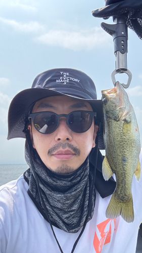 南湖西岸