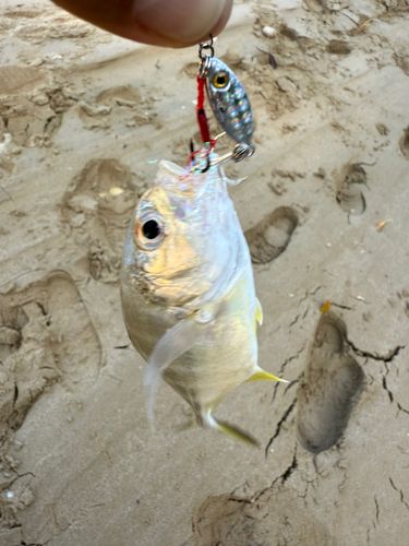 金武湾