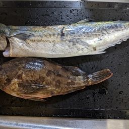 アラカブ