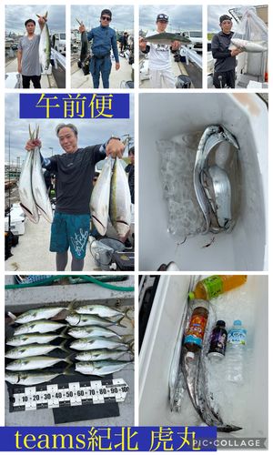 メジロの釣果