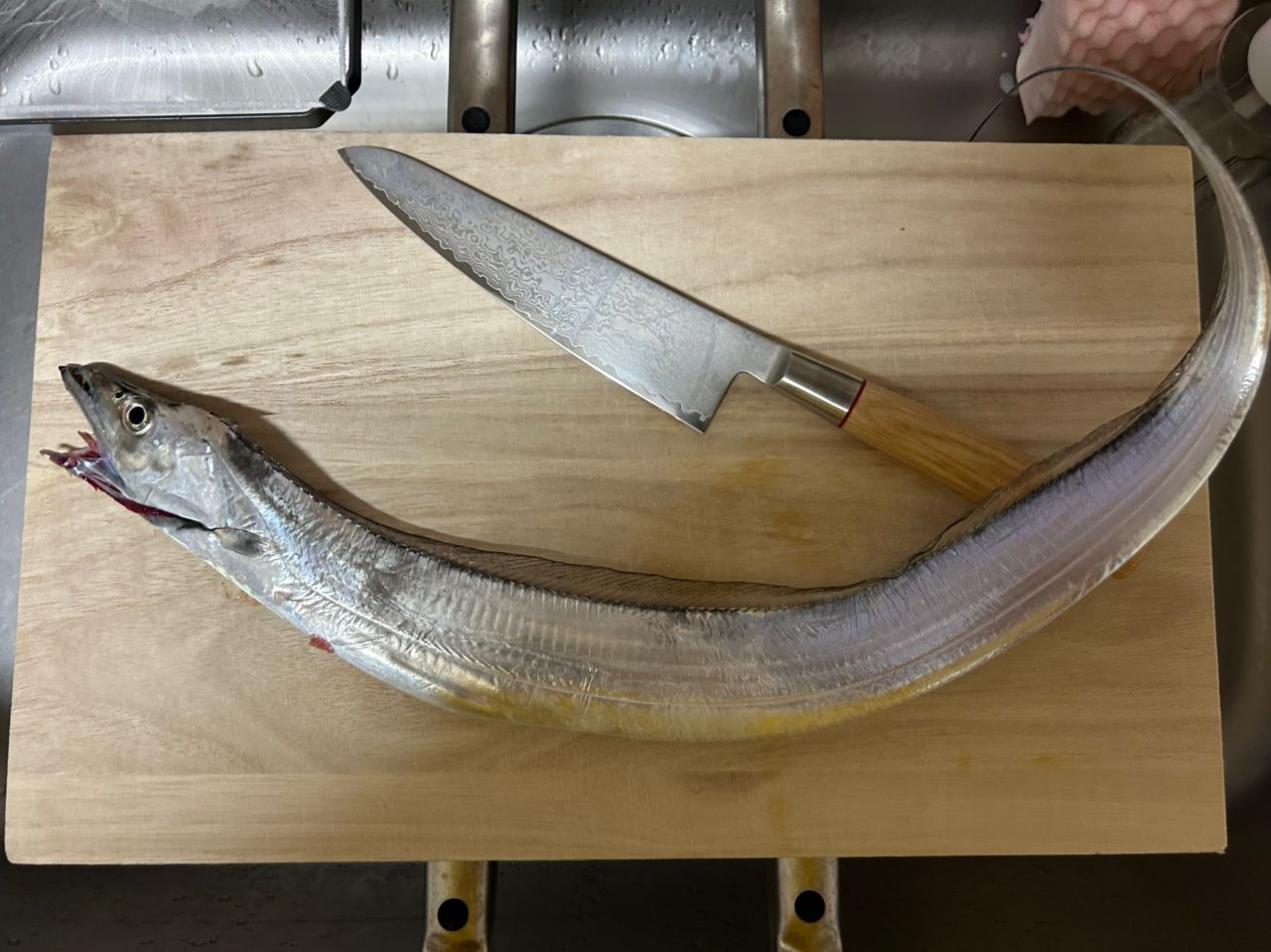 タチウオ