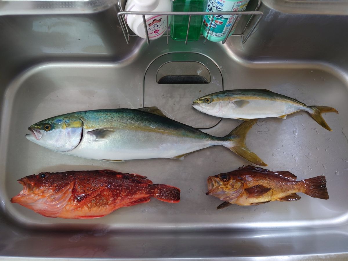 クロタカさんの釣果 2枚目の画像