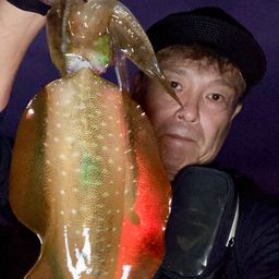 アオリイカ