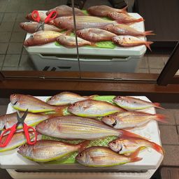 イトヨリダイ