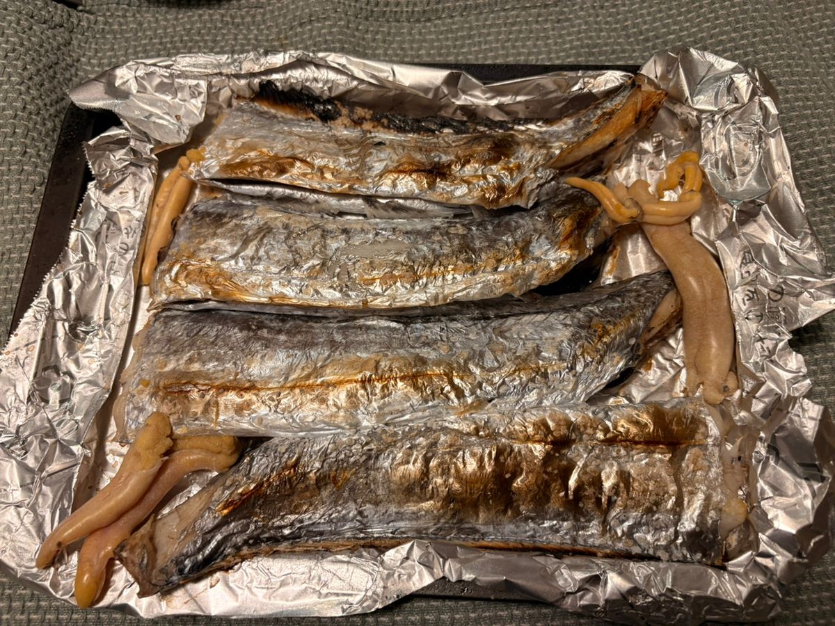 Almelさんの釣果 3枚目の画像