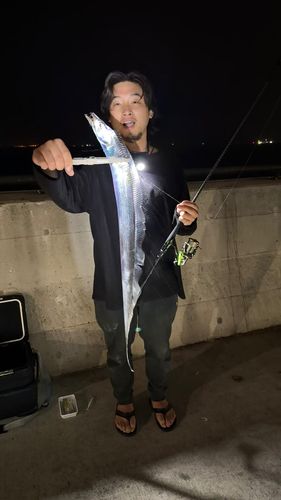 タチウオの釣果