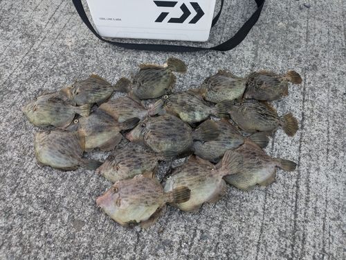 阿賀マリノポリス