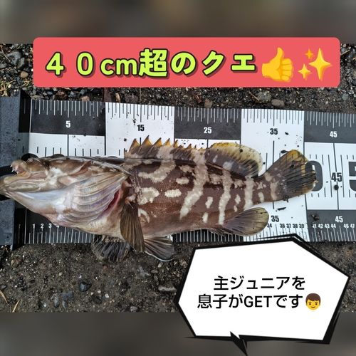 巴川河口
