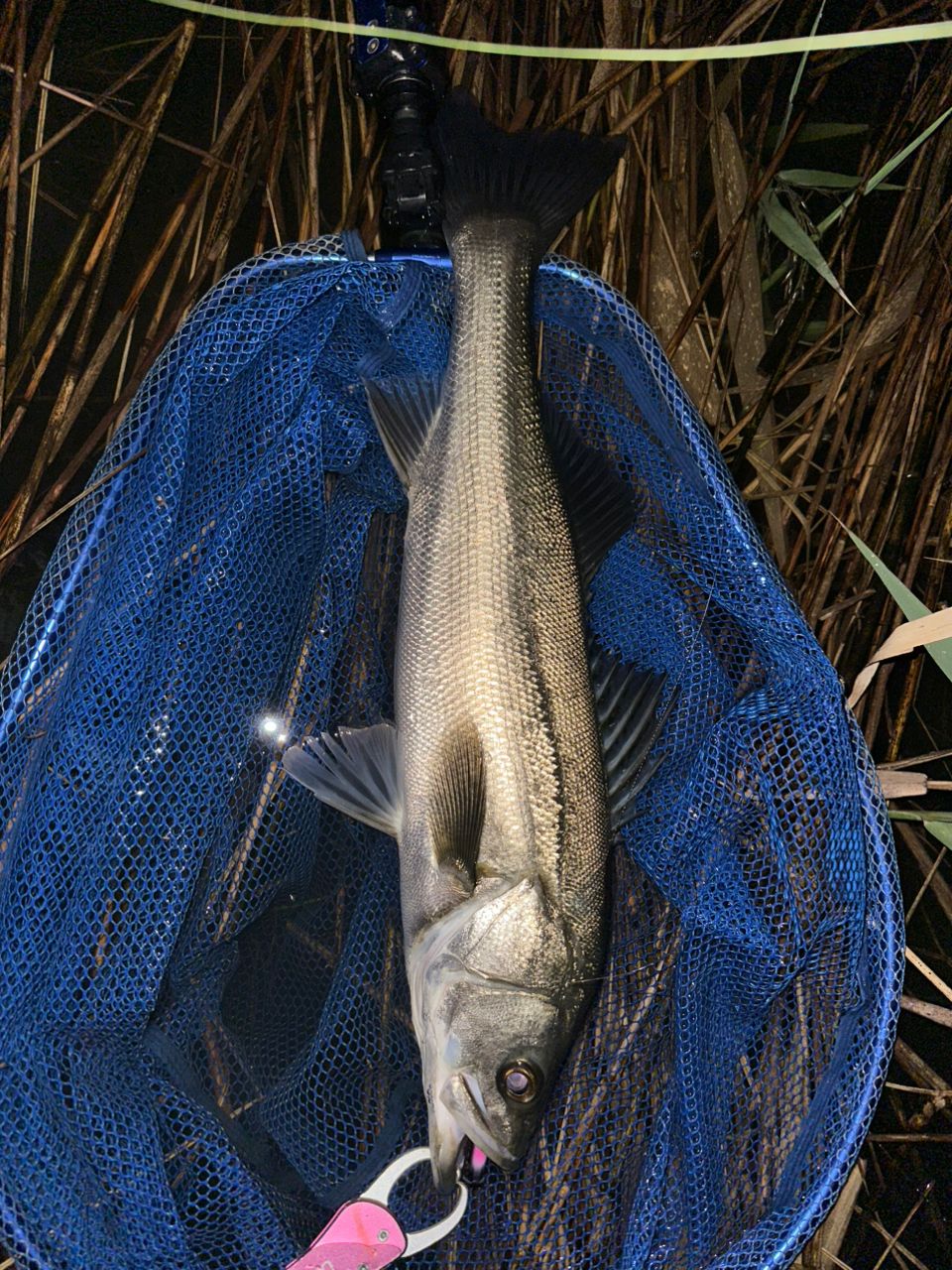 SHIMANO 20ルナミス S96MLの最安値・インプレ・釣果 | 本音の