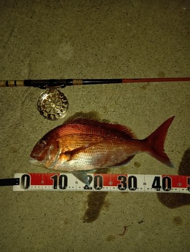 小名浜港アクアマリンふくしま周辺