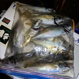 アジ