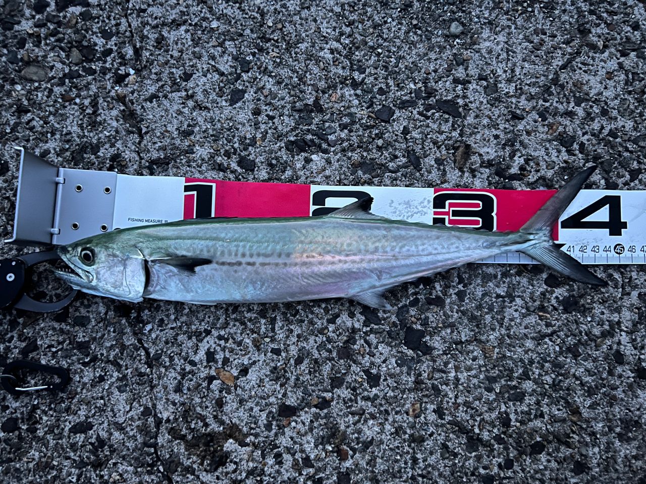 SHIMANO 20コルトスナイパー XR S96MLの最安値・インプレ・釣果