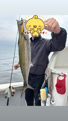 東京湾湾奥