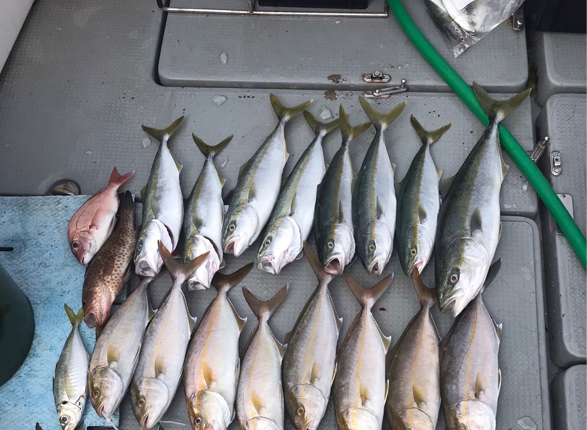 Golden Eagleさんの釣果 1枚目の画像