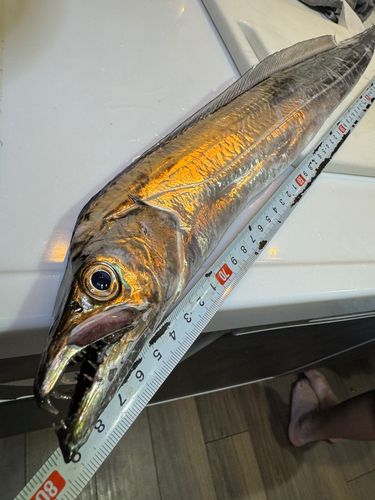 本牧海づり施設
