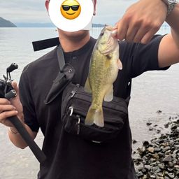ブラックバス
